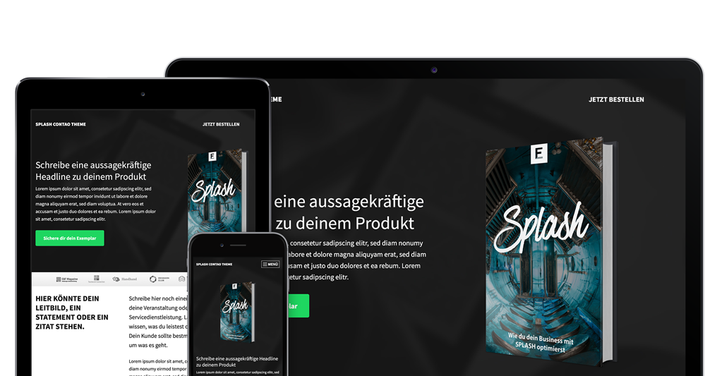 Splash responsive Theme